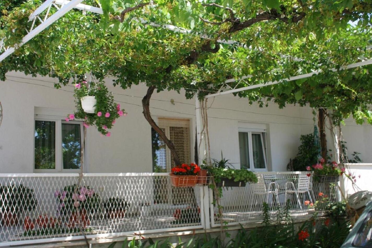 Apartments Zdravko - 150 M From Sandy Beach Duce Exterior photo